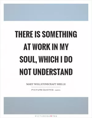 There is something at work in my soul, which I do not understand Picture Quote #1