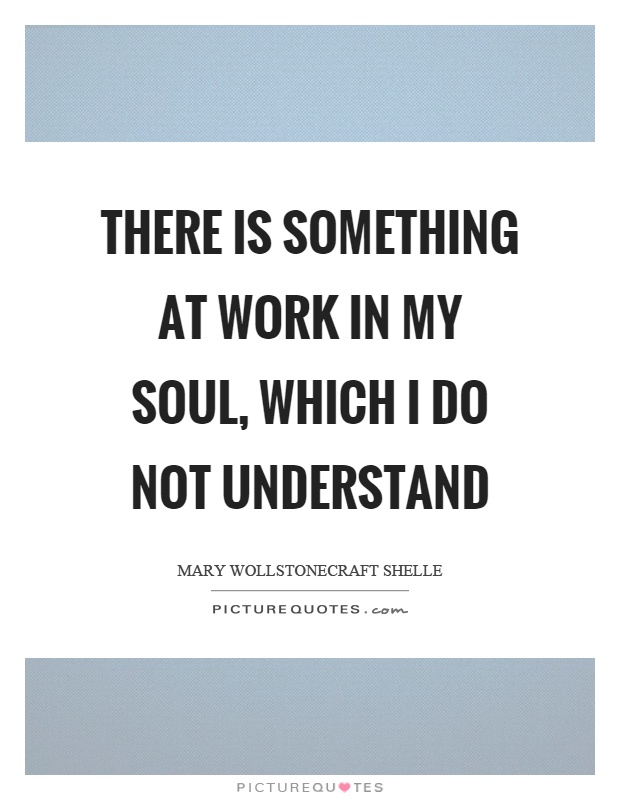 There is something at work in my soul, which I do not understand Picture Quote #1