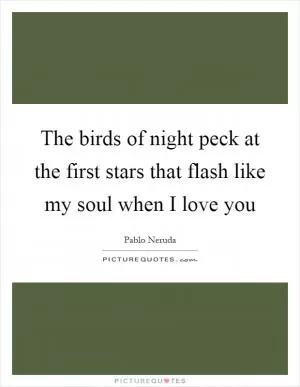 The birds of night peck at the first stars that flash like my soul when I love you Picture Quote #1