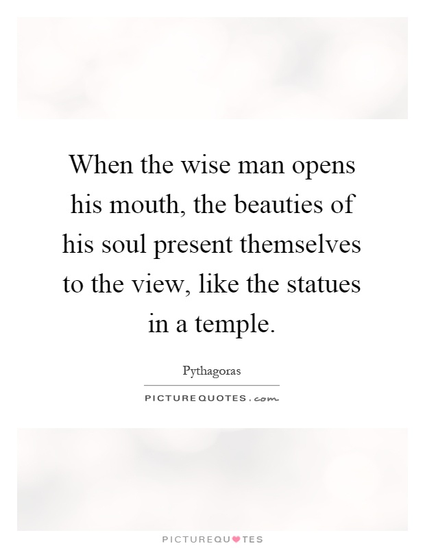 When the wise man opens his mouth, the beauties of his soul present themselves to the view, like the statues in a temple Picture Quote #1