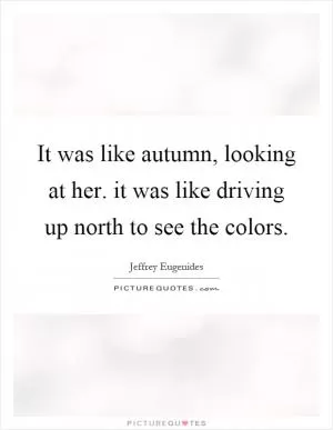 It was like autumn, looking at her. it was like driving up north to see the colors Picture Quote #1