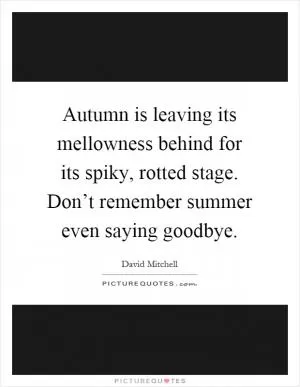 Autumn is leaving its mellowness behind for its spiky, rotted stage. Don’t remember summer even saying goodbye Picture Quote #1
