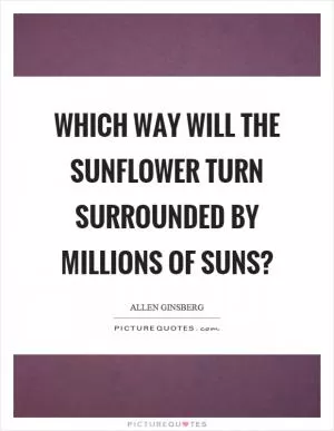 Which way will the sunflower turn surrounded by millions of suns? Picture Quote #1