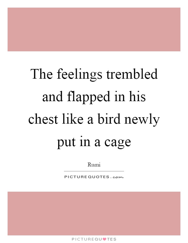 The feelings trembled and flapped in his chest like a bird newly put in a cage Picture Quote #1