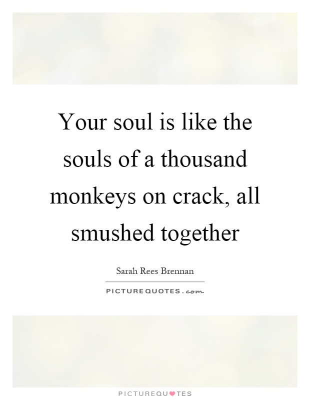Your soul is like the souls of a thousand monkeys on crack, all smushed together Picture Quote #1