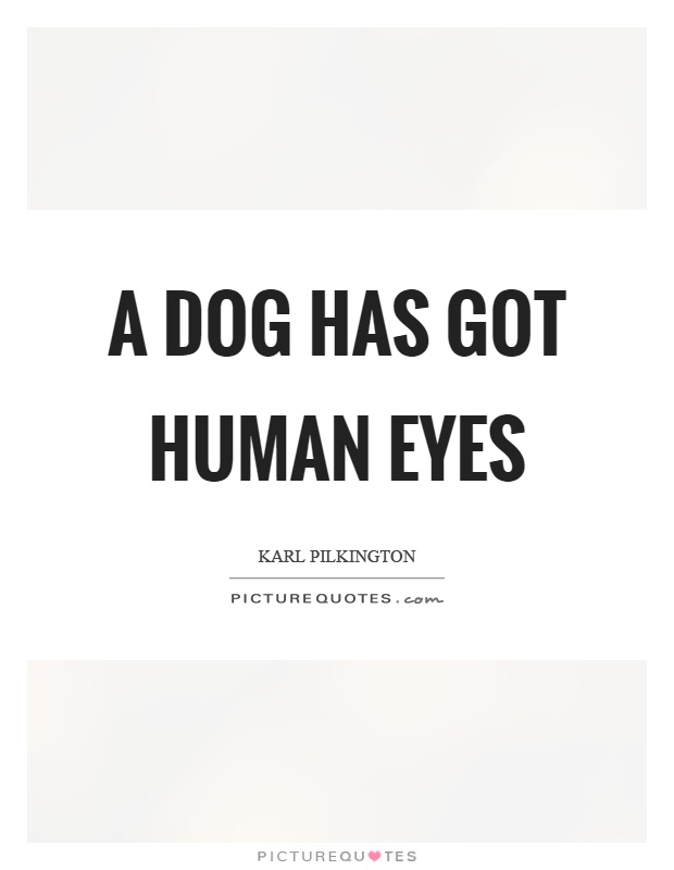 A dog has got human eyes Picture Quote #1