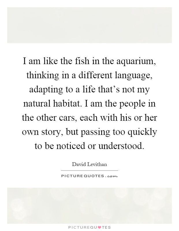 I am like the fish in the aquarium, thinking in a different language, adapting to a life that's not my natural habitat. I am the people in the other cars, each with his or her own story, but passing too quickly to be noticed or understood Picture Quote #1