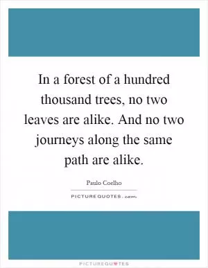 In a forest of a hundred thousand trees, no two leaves are alike. And no two journeys along the same path are alike Picture Quote #1