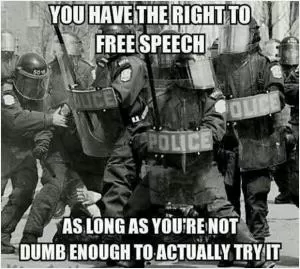 You have the right to free speech as long as you’re not dumb enough to actually try it Picture Quote #1