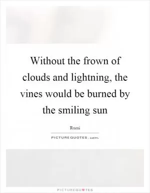 Without the frown of clouds and lightning, the vines would be burned by the smiling sun Picture Quote #1