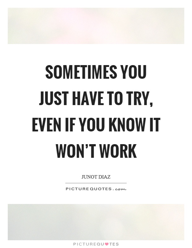 Sometimes you just have to try, even if you know it won't work Picture Quote #1
