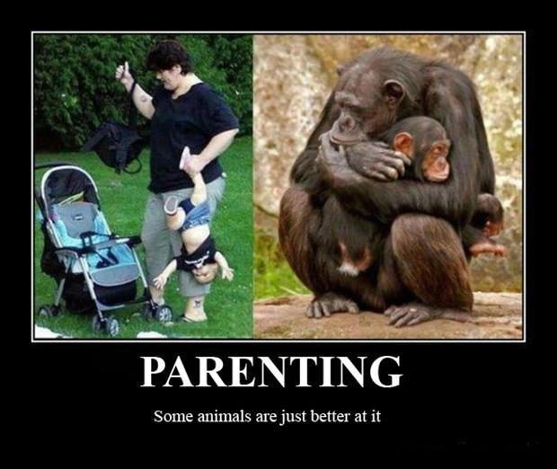 Parenting. Some animals are just better at it Picture Quote #1