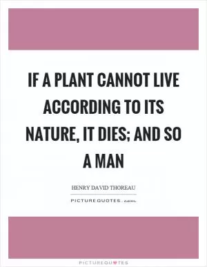 If a plant cannot live according to its nature, it dies; and so a man Picture Quote #1