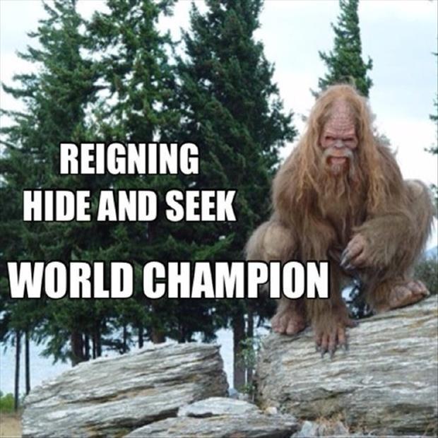 Reigning hide and seek world champion Picture Quote #1