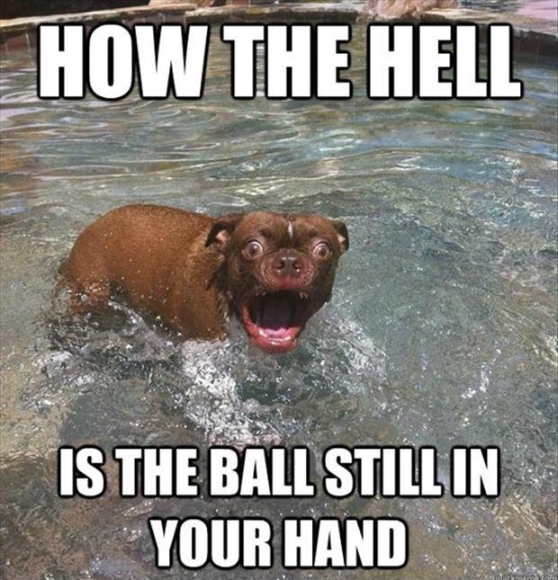 How the hell is the ball still in your hand Picture Quote #1