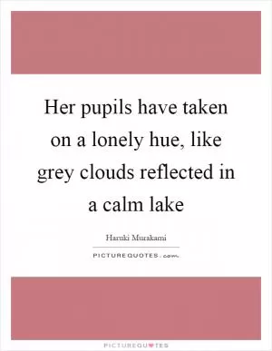 Her pupils have taken on a lonely hue, like grey clouds reflected in a calm lake Picture Quote #1