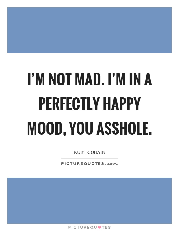 I'm not mad. I'm in a perfectly happy mood, you asshole Picture Quote #1