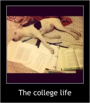 The college life Picture Quote #1