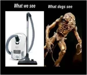 What we see. What dogs see Picture Quote #1