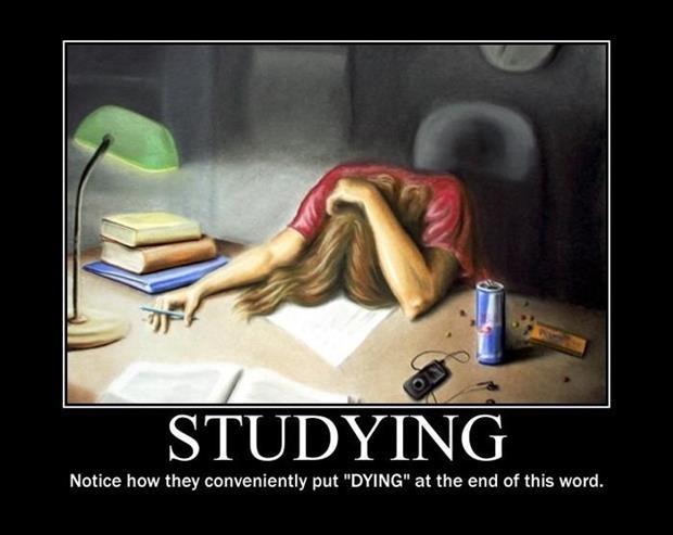 Studying. Notice how they conveniently put “DYING” at the end of this word Picture Quote #1