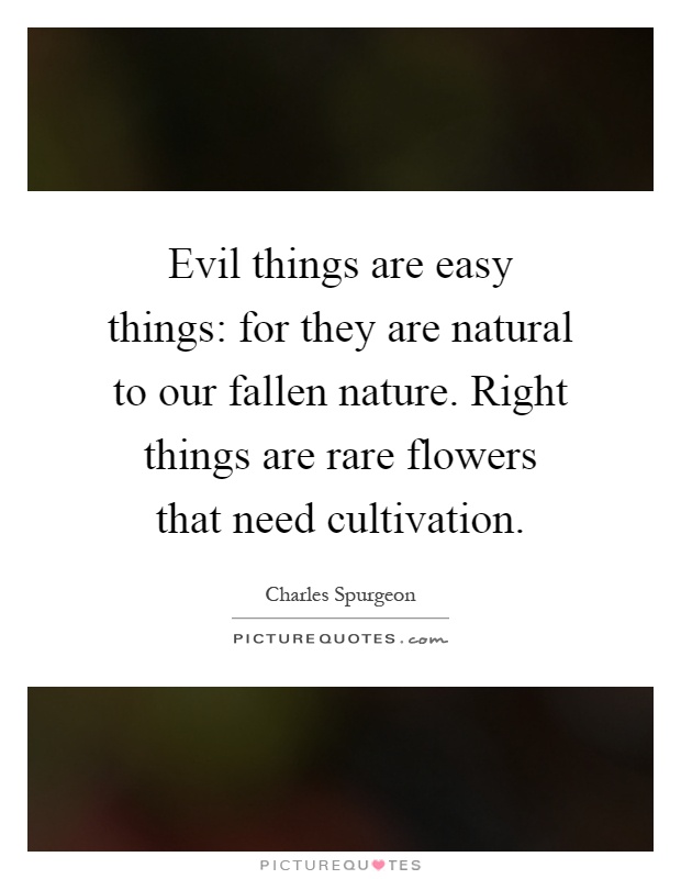 Evil things are easy things: for they are natural to our fallen nature. Right things are rare flowers that need cultivation Picture Quote #1