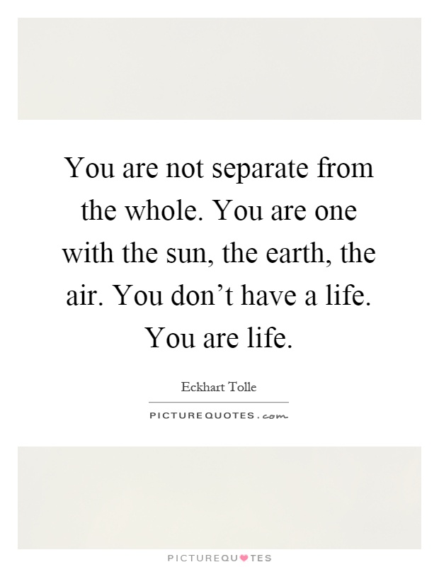 You are not separate from the whole. You are one with the sun, the earth, the air. You don't have a life. You are life Picture Quote #1