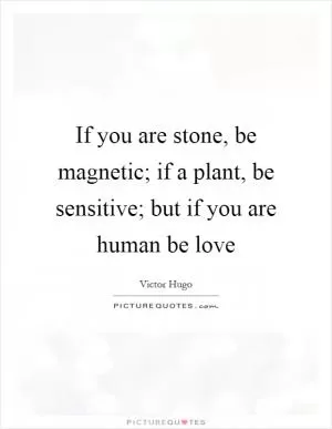 If you are stone, be magnetic; if a plant, be sensitive; but if you are human be love Picture Quote #1