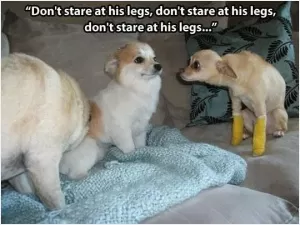 Don't stare at his legs, don't stare at his legs, don't stare at his legs Picture Quote #1