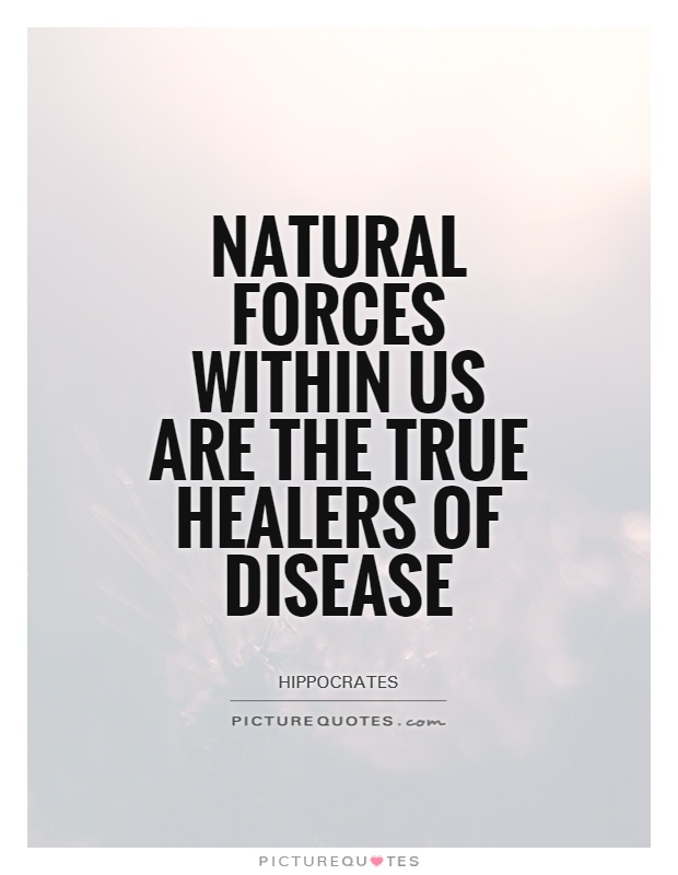 Natural forces within us are the true healers of disease Picture Quote #1
