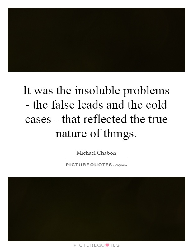 It was the insoluble problems - the false leads and the cold cases - that reflected the true nature of things Picture Quote #1