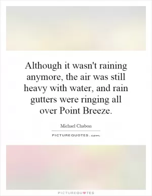 Although it wasn't raining anymore, the air was still heavy with water, and rain gutters were ringing all over Point Breeze Picture Quote #1