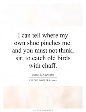 I can tell where my own shoe pinches me; and you must not think, sir, to catch old birds with chaff Picture Quote #1