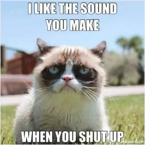 I like the sound you make when you shut up Picture Quote #1