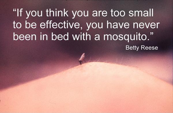 If you think you are too small to be effective, you have never been in bed with a mosquito Picture Quote #1