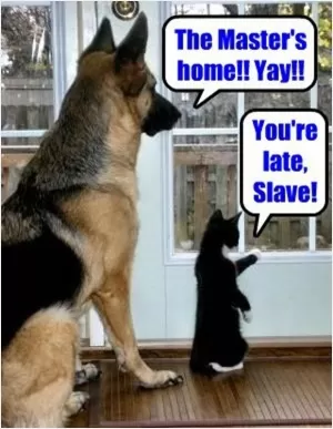 The master's home yay!! You're late slave! Picture Quote #1