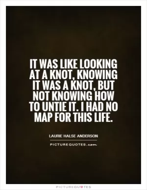 It was like looking at a knot, knowing it was a knot, but not knowing how to untie it. I had no map for this life Picture Quote #1