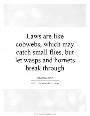 Laws are like cobwebs, which may catch small flies, but let wasps and hornets break through Picture Quote #1
