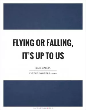 Flying or falling, it’s up to us Picture Quote #1