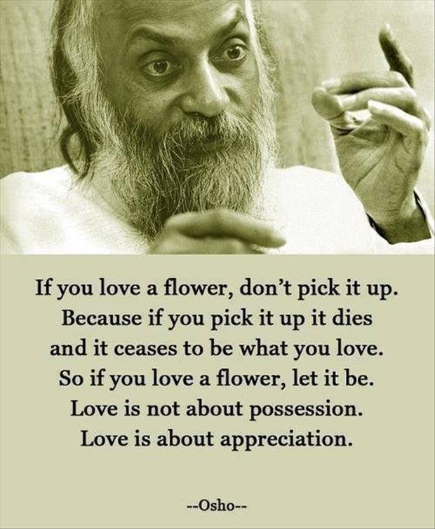 If you love a flower, don't pick it up. Because if you pick it up it dies and it ceases to be what you love. So if you love a flower, let it be. Love is not about possession. Love is about appreciation Picture Quote #2