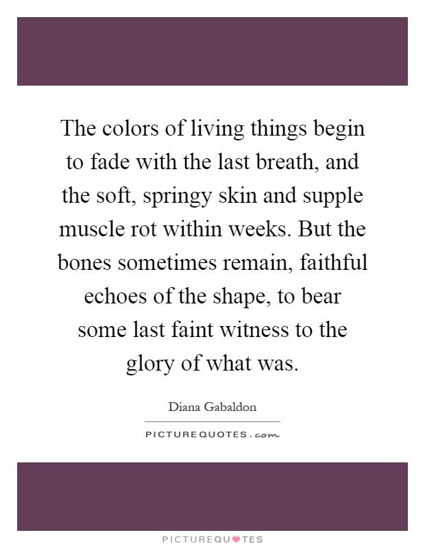 The colors of living things begin to fade with the last breath, and the soft, springy skin and supple muscle rot within weeks. But the bones sometimes remain, faithful echoes of the shape, to bear some last faint witness to the glory of what was Picture Quote #1