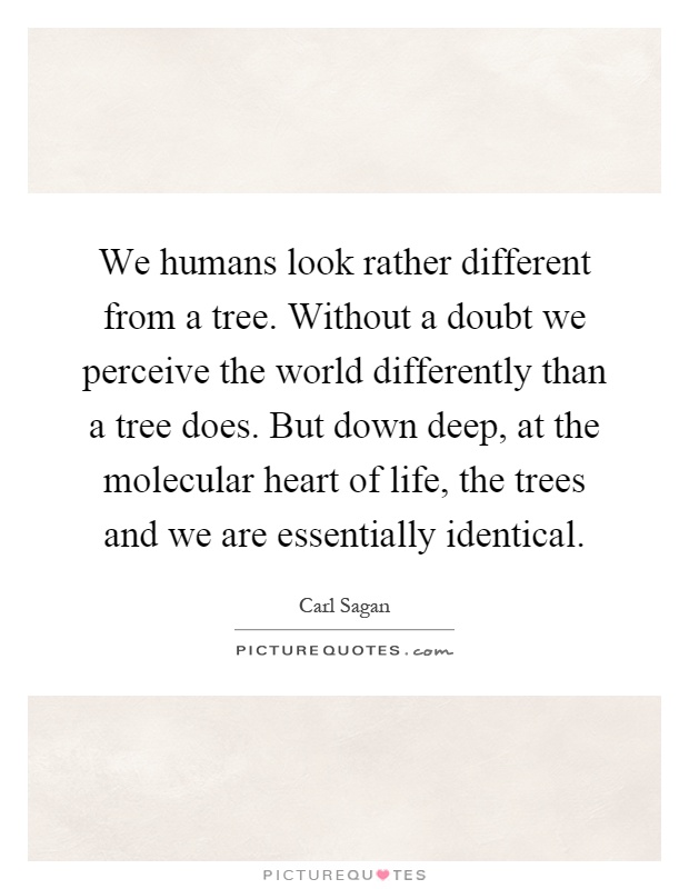 We humans look rather different from a tree. Without a doubt we perceive the world differently than a tree does. But down deep, at the molecular heart of life, the trees and we are essentially identical Picture Quote #1