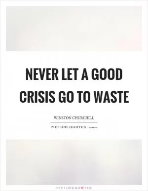 Never let a good crisis go to waste Picture Quote #1