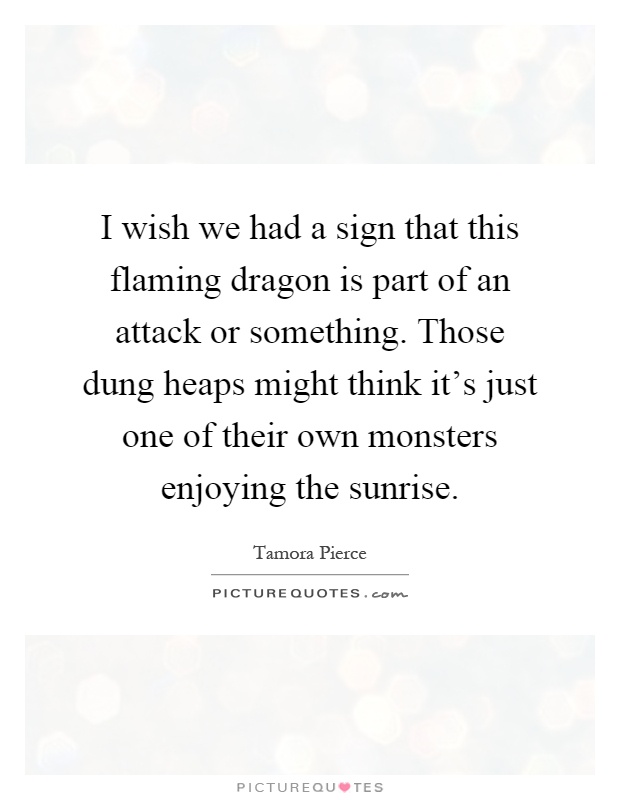 I wish we had a sign that this flaming dragon is part of an attack or something. Those dung heaps might think it's just one of their own monsters enjoying the sunrise Picture Quote #1