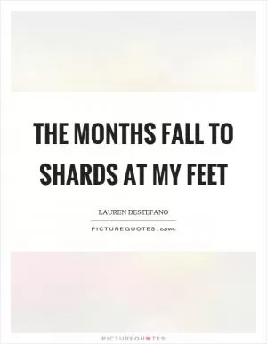 The months fall to shards at my feet Picture Quote #1