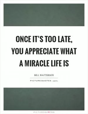 Once it’s too late, you appreciate what a miracle life is Picture Quote #1
