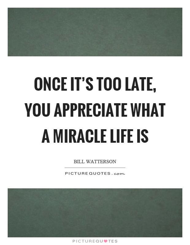 Once it's too late, you appreciate what a miracle life is Picture Quote #1