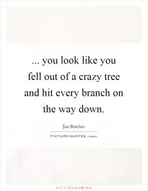 ... you look like you fell out of a crazy tree and hit every branch on the way down Picture Quote #1
