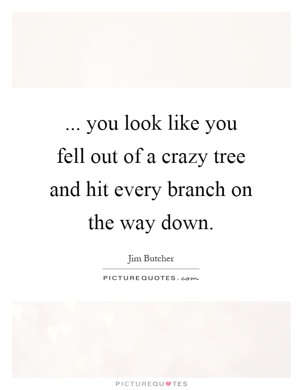 ... you look like you fell out of a crazy tree and hit every branch on the way down Picture Quote #1