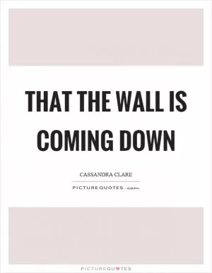 That the wall is coming down Picture Quote #1