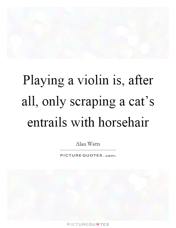 Playing a violin is, after all, only scraping a cat's entrails with horsehair Picture Quote #1